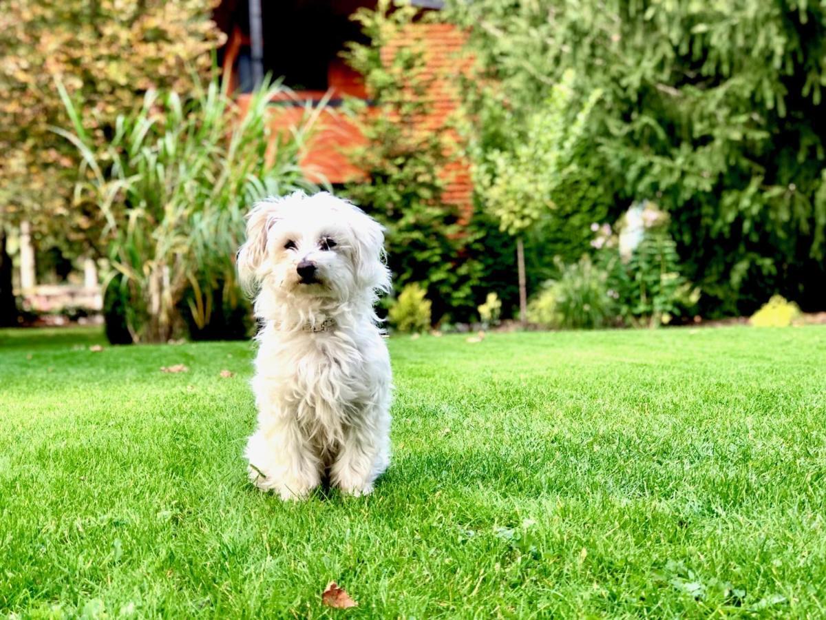 Domek W Dlugosiodle Dlugosiodlo Dış mekan fotoğraf